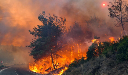 WWA raporu: İklim değişikliği yangın sezonunu körüklüyor