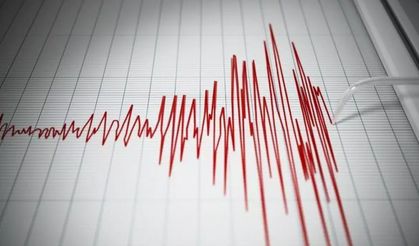 Erzurum'da 3.9 büyüklüğünde deprem