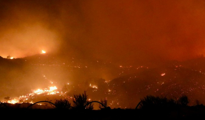 Alanya’daki yangın kontrol altında: 300 hektar alan zarar gördü