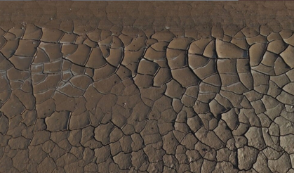 Dicle ve Fırat çöküşün eşiğinde: Su krizi derinleşiyor