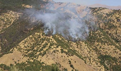 Hakkari'de orman yangınına müdahale sürüyor