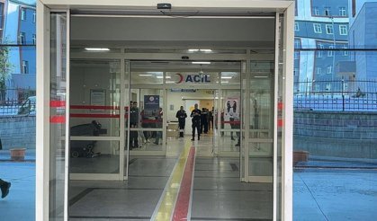 Siirt Canlı Hayvan Borsası’nda silahlı ve sopalı kavga