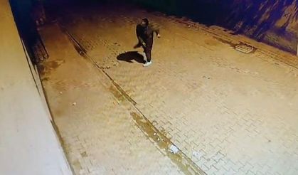 Adana'da seri cam kırma vakası: Bir haftadır yapıyor