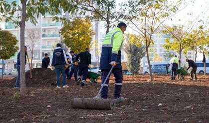 Diyarbakır Bağlar’da doğa İçin yeni dokunuş
