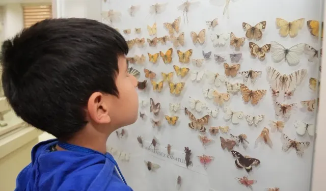 Diyarbakır’da 10 bin çocuk Zooloji Müzesi’ni ziyaret etti