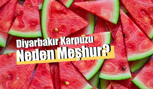 Diyarbakır Karpuzu: En Lezzetli Karpuz Hangisi Tartışmalarının Cevabı!