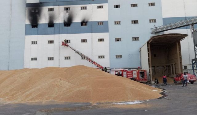 Mardin’de un fabrikası yandı tonlarca buğday kül oldu