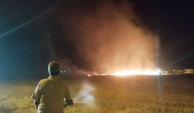 Mardin’de arazi yangınları devam ediyor