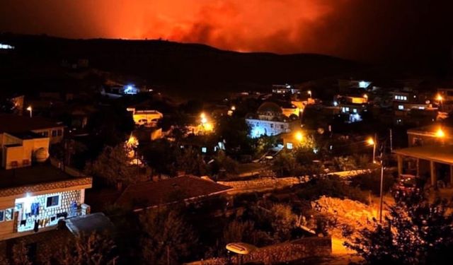 Diyarbakır ve Mardin’deki yangınların zararı 700 milyon lira!