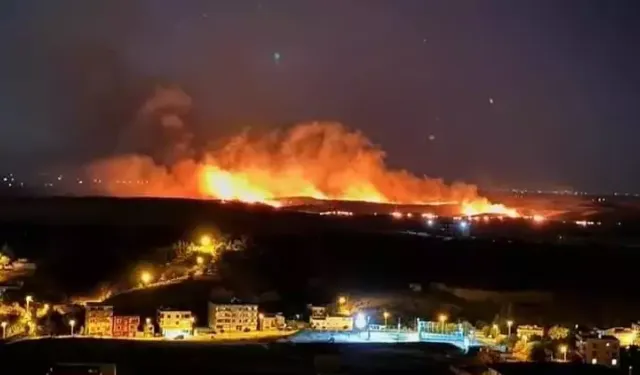 Diyarbakır’da korkutan anız yangını!