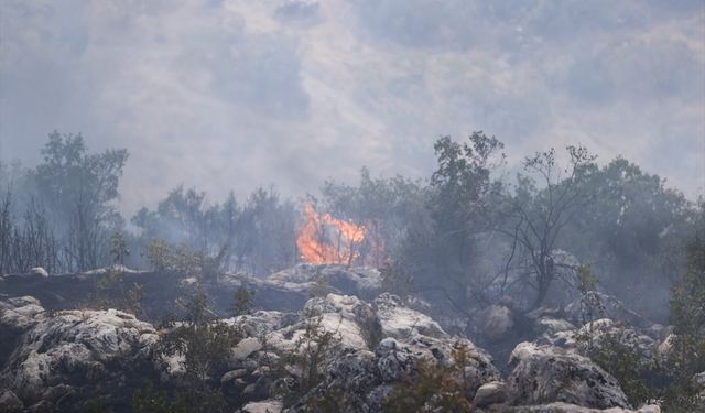 Gaziantep'te ormanlık alanda yangını!