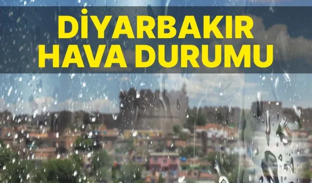 16 Kasım Diyarbakır için hava durumu