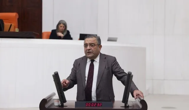 Tanrıkulu: Anadil güvenlik sorunu değil, eşitlik meselesidir