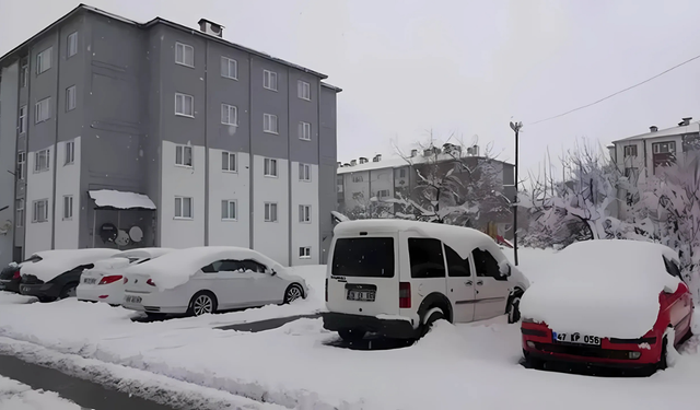 Bitlis'te kar yağışı yeniden başladı: Köy yolları kapandı, çalışmalar sürüyor