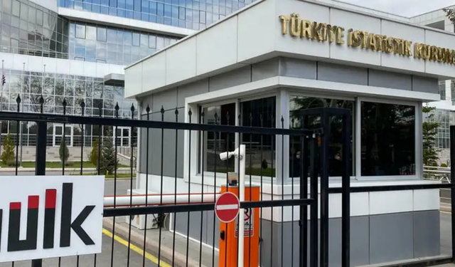 TÜİK şubat 2024 verilerini açıkladı: Ücretli istihdamda sektörel farklılık