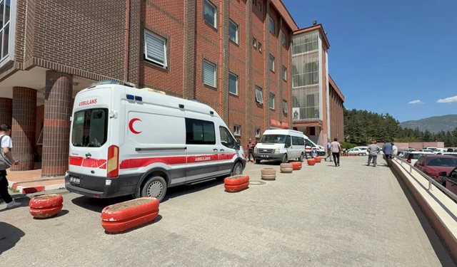 Kene Isırığı 1 buçuk yaşındaki çocuğun canını aldı