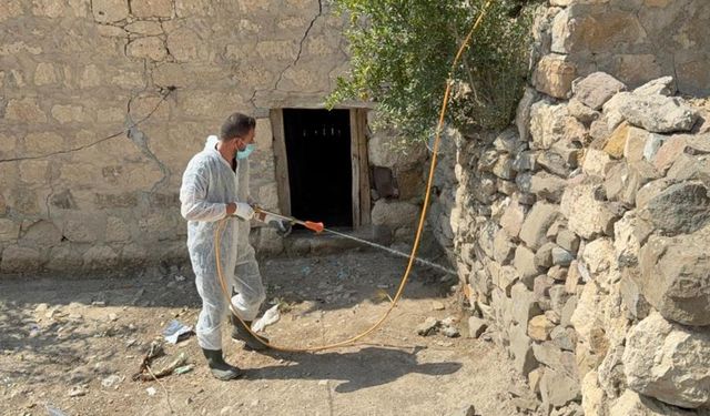 Batman’da akrep alarmı: Köy ilaçlandı