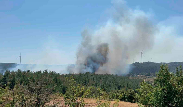 Çanakkale’de orman yangını kontrol altına alındı