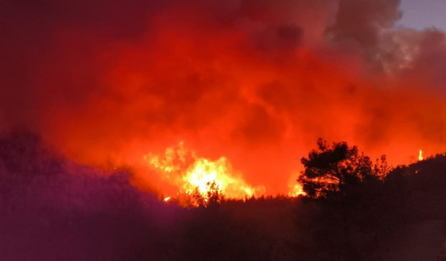 Rüzgar yangını büyüttü: Hatay’da ekipler seferber