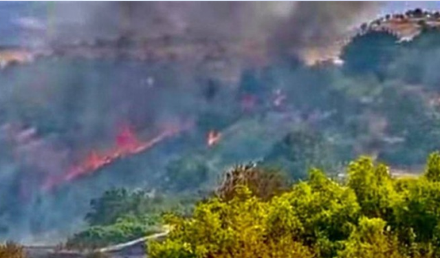 Duhok’ta yangın alarmı: Alevler hızla yayılıyor
