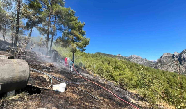Adana’da orman yangını: 2 dönüm alan zarar gördü