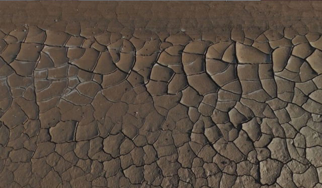 Dicle ve Fırat çöküşün eşiğinde: Su krizi derinleşiyor