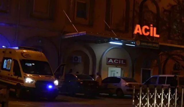 Mardin’de berivan’ın ölümü yürekleri yaktı