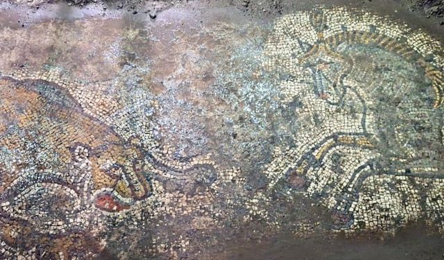 Mardin'de 60 metrekarelik tarihi eser ele geçirildi