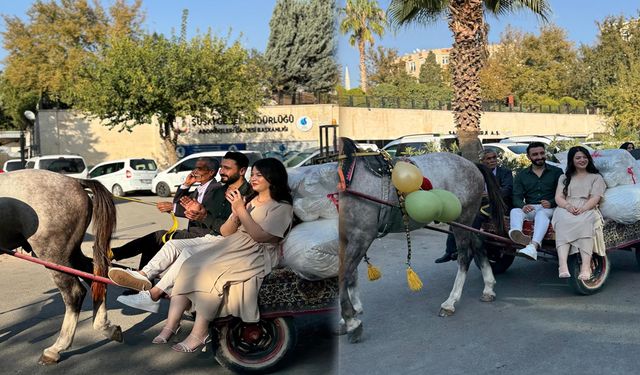 Şanlıurfa’da at arabasıyla çeyiz geleneği yeniden canlandı