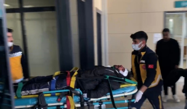 Şanlıurfa’da yol kenarında vurulmuş 2 genç bulundu