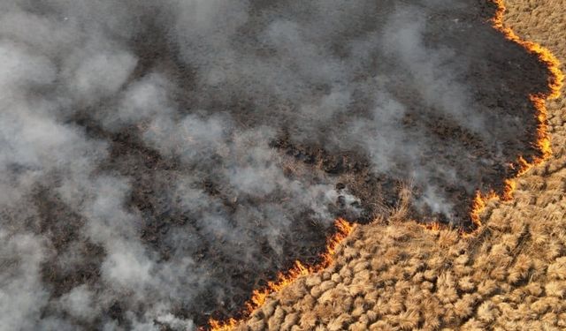 Koruma altındaki sazlıkta 4 günlük yangın söndürüldü