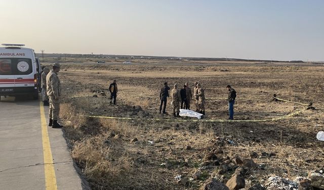 Şanlıurfa’da yol kenarında bulunan cesedin kimliği tespit edildi