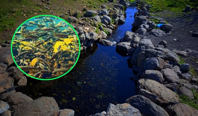 Diyarbakır Karacadağ’ın gizli akvaryumu: Kaniya Reş
