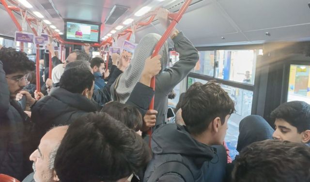 Diyarbakır'da balık istifi yolculuk gündelik hale geldi