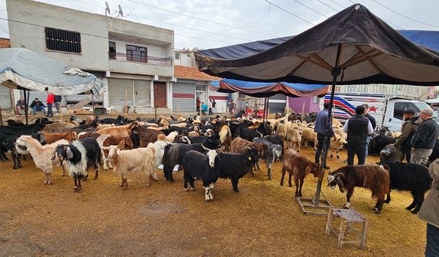 Diyarbakır’da kurban kesim yerleri yeniden canlandı