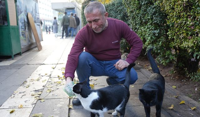 Diyarbakır’daki çaycı 30 yıldır çalıştığı duraktaki kedileri besliyor