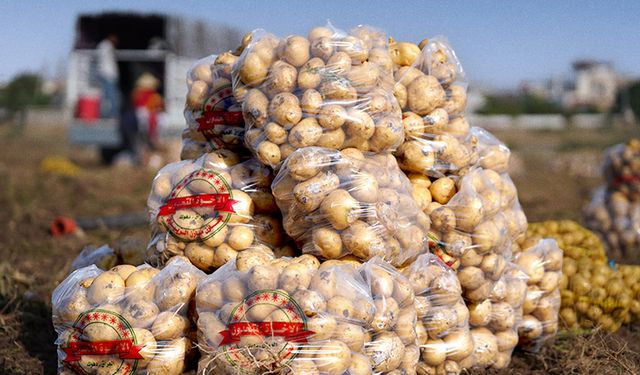 Kürdistan Bölgesi’nde Patates Festivali düzenlenicek