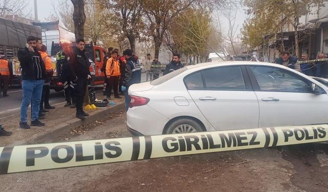 Siverek-Diyarbakır yolunda kaza: Yolun karşısına geçen kadın öldü