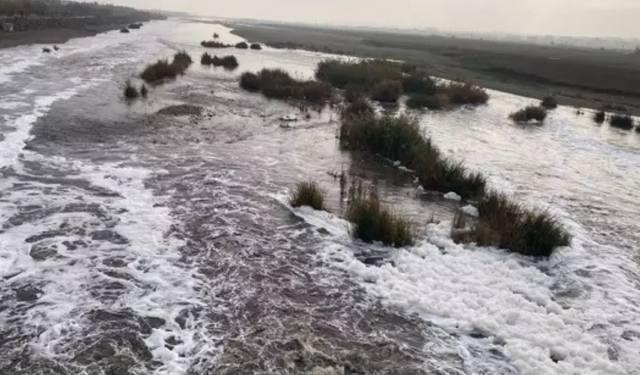 Uzmanlardan Dicle Nehri uyarısı: Kirlilik artıyor