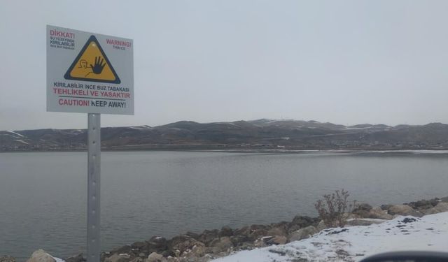 Van’da sahibinin elinden kaçan inek gölette telef oldu