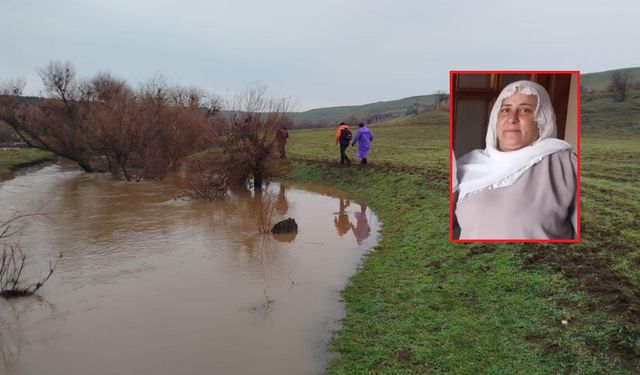 Diyarbakır'da 13 gündür kayıptı! Nimet Kılıç'ın cansız bedenine ulaşıldı