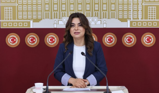 DEM Parti’den Meclis’e hızlı yasa çağrısı