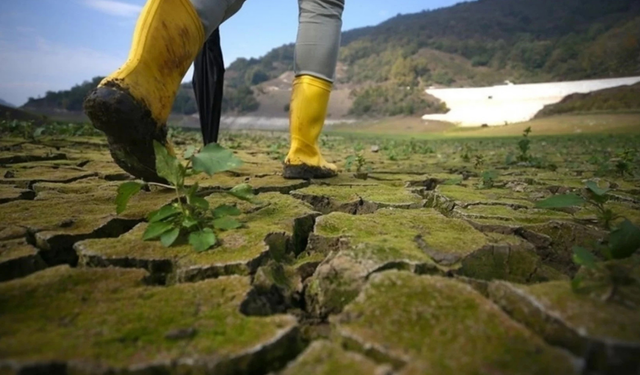 İklim dezenformasyonu küresel tehdit haline geldi