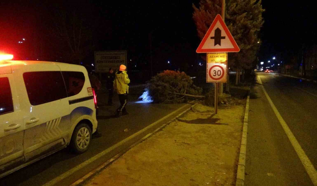 Şiddetli fırtına ağaçları kökünden söktü
