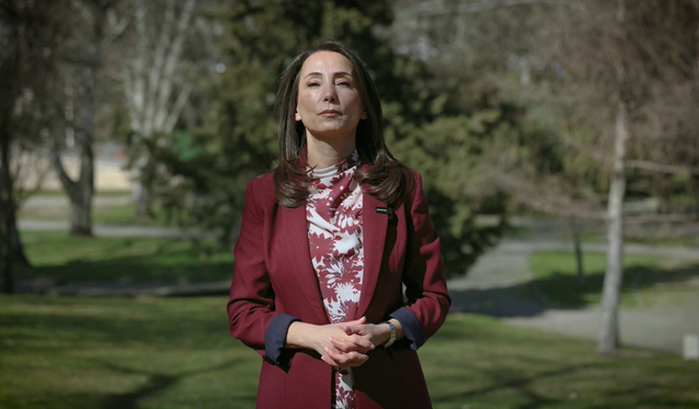 DEM Parti’den Newroz çağrısı: “Alanlarda buluşalım”