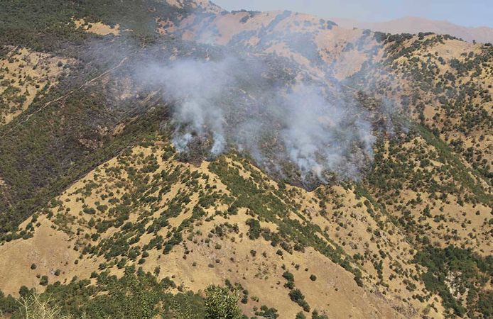 Hakkari'de orman yangınına müdahale sürüyor