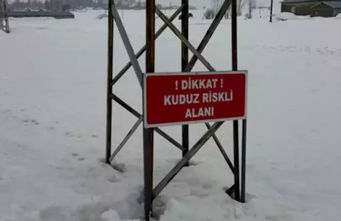 Hakkari’de eşekte kuduz tespit edildi, köy karantinaya alındı