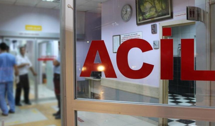 Diyarbakır’da kargo aracı takla attı: 2 yaralı