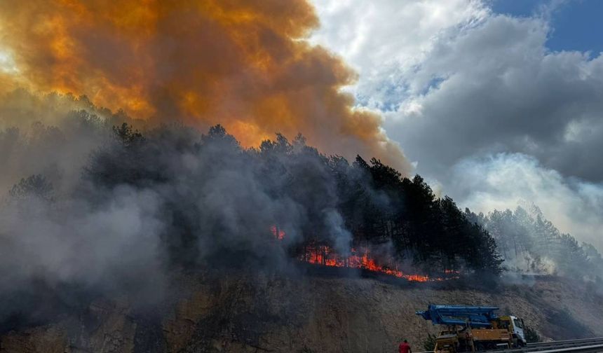 Bolu'da orman yangını: Kara yolu kapatıldı