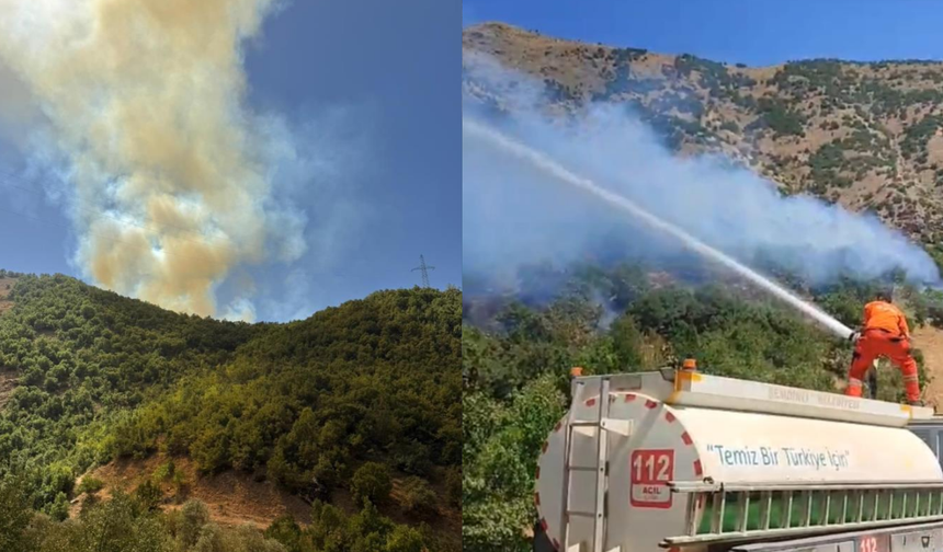 Hakkari’de orman yangını: Ekipler seferber oldu